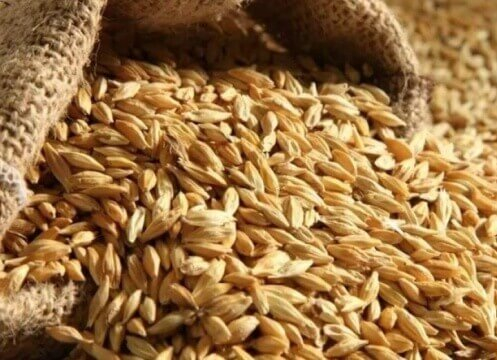 Эскпорт зерна